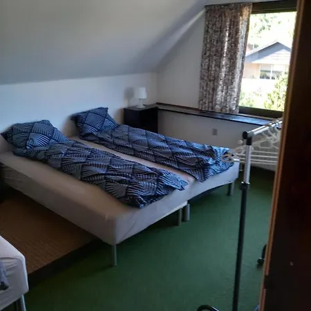 Vila Alexandra Pensionat